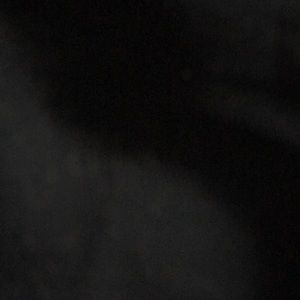 Meet your Posher, Williams